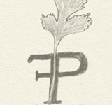 Flavor Portal Logo Sketches